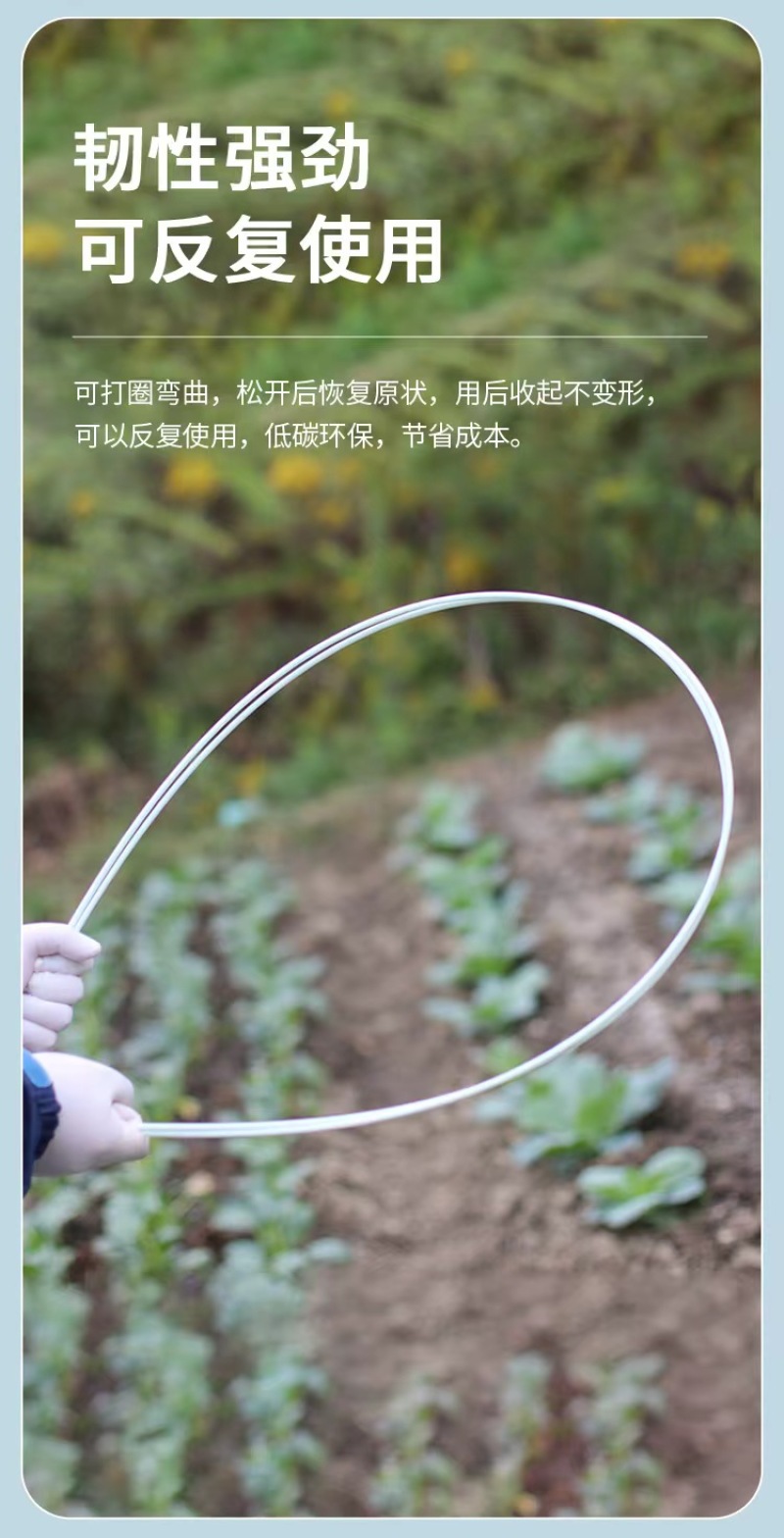 工厂直发玻璃纤维杆弓子植物爬藤架可反复使用10-20年