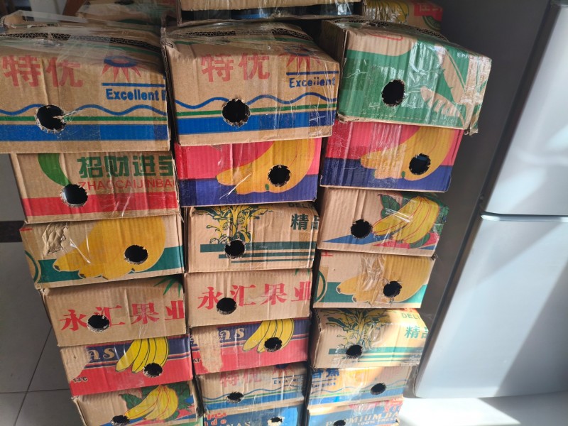 高源蚯蚓养殖