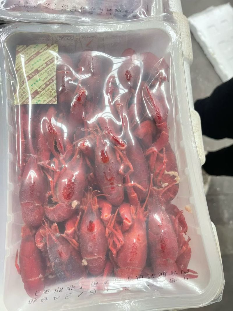 湖北潜江张氏龙虾批发