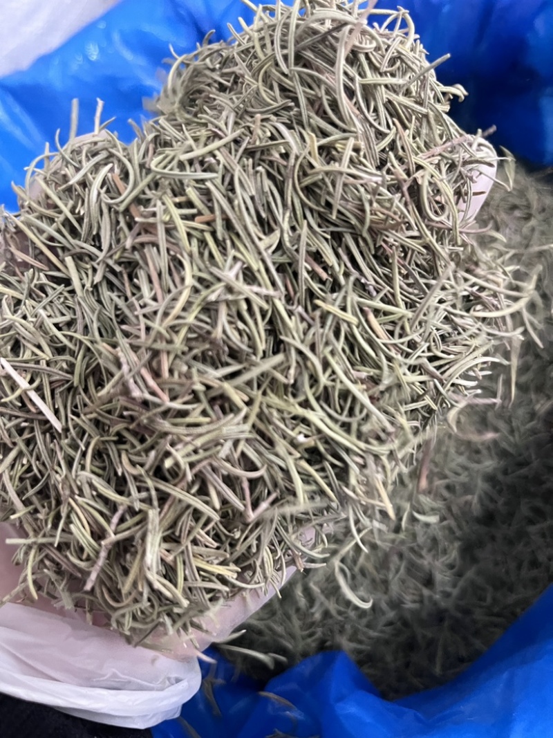 进口迷迭香批发调味料西餐调料长期批发量大价优牛扒西餐