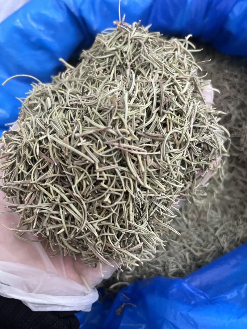 进口迷迭香批发调味料西餐调料长期批发量大价优牛扒西餐
