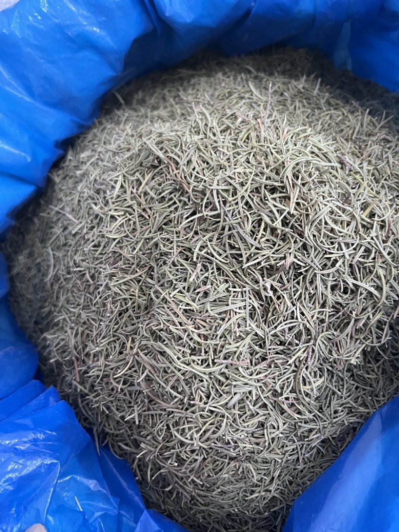 进口迷迭香批发调味料西餐调料长期批发量大价优牛扒西餐