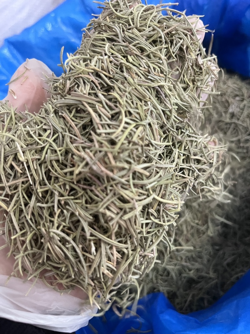 进口迷迭香批发调味料西餐调料长期批发量大价优牛扒西餐
