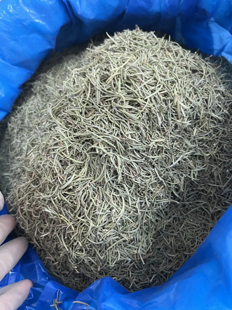 进口迷迭香批发调味料西餐调料长期批发量大价优牛扒西餐