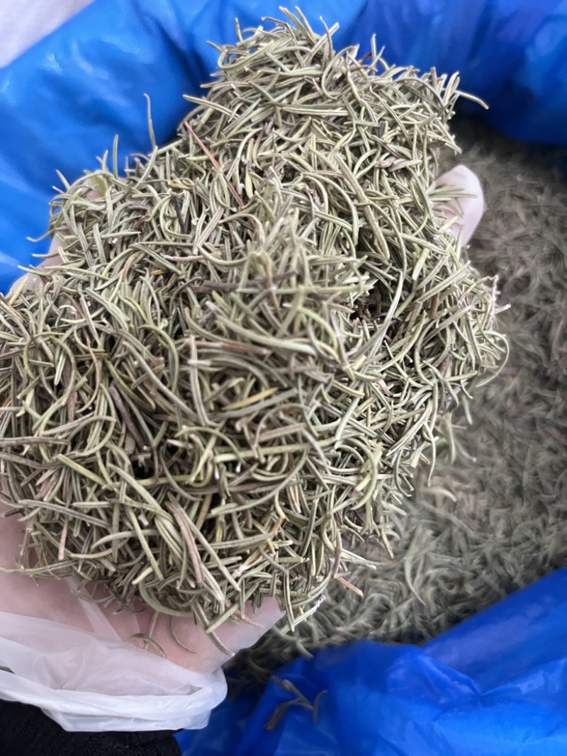 进口迷迭香批发调味料西餐调料长期批发量大价优牛扒西餐