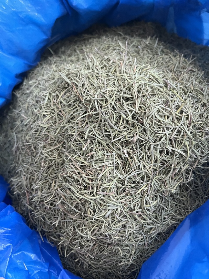 进口迷迭香批发调味料西餐调料长期批发量大价优牛扒西餐