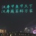 甲鱼鲜活