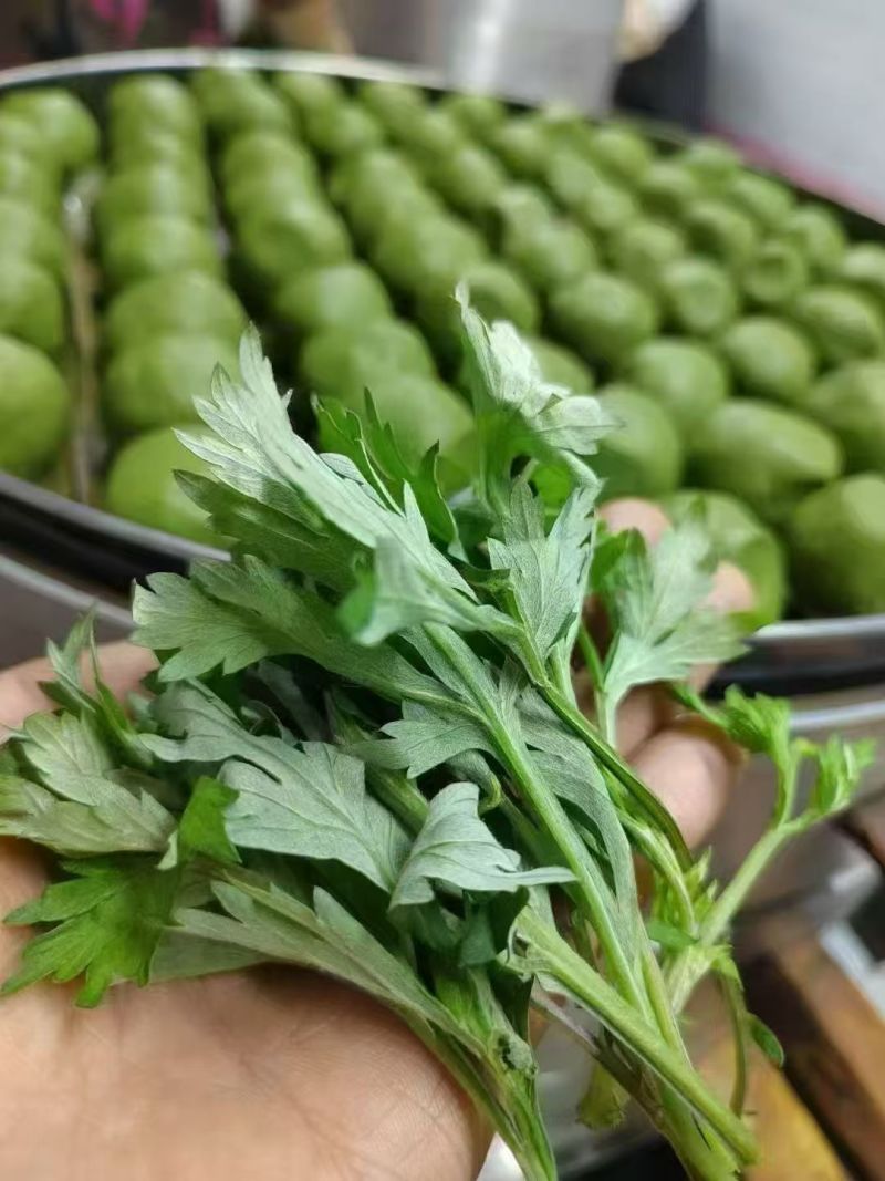 鲜艾草味道浓郁橙乡有艾，大桥艾草量大从优