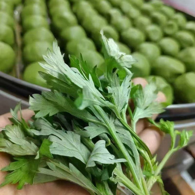 鲜艾草味道浓郁橙乡有艾，大桥艾草量大从优