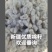 新疆库尔勒棉子充足需要的老板联系