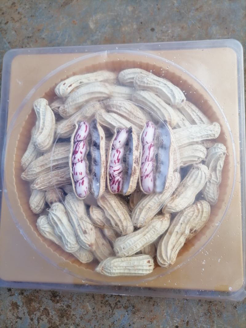 精品七彩花生米