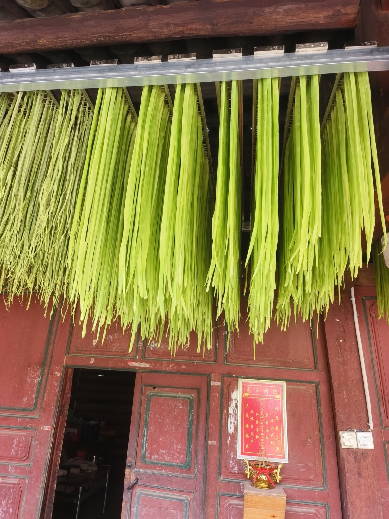 贡菜