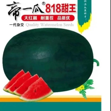 帝一瓜818甜王西瓜种子水果甜产量高