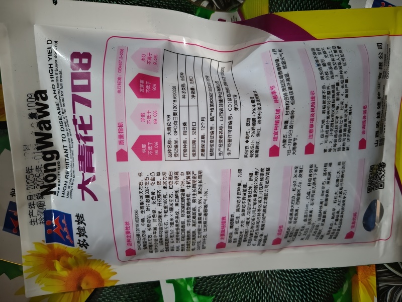 杂交食用向日葵种子生育期120天株高170厘米包邮