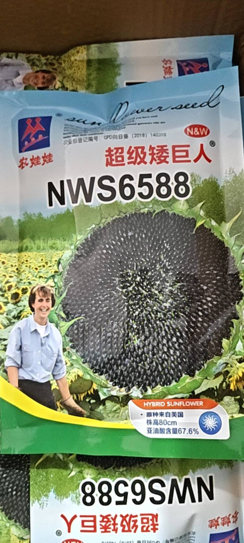 油葵种子杂交种登记品种高油高产