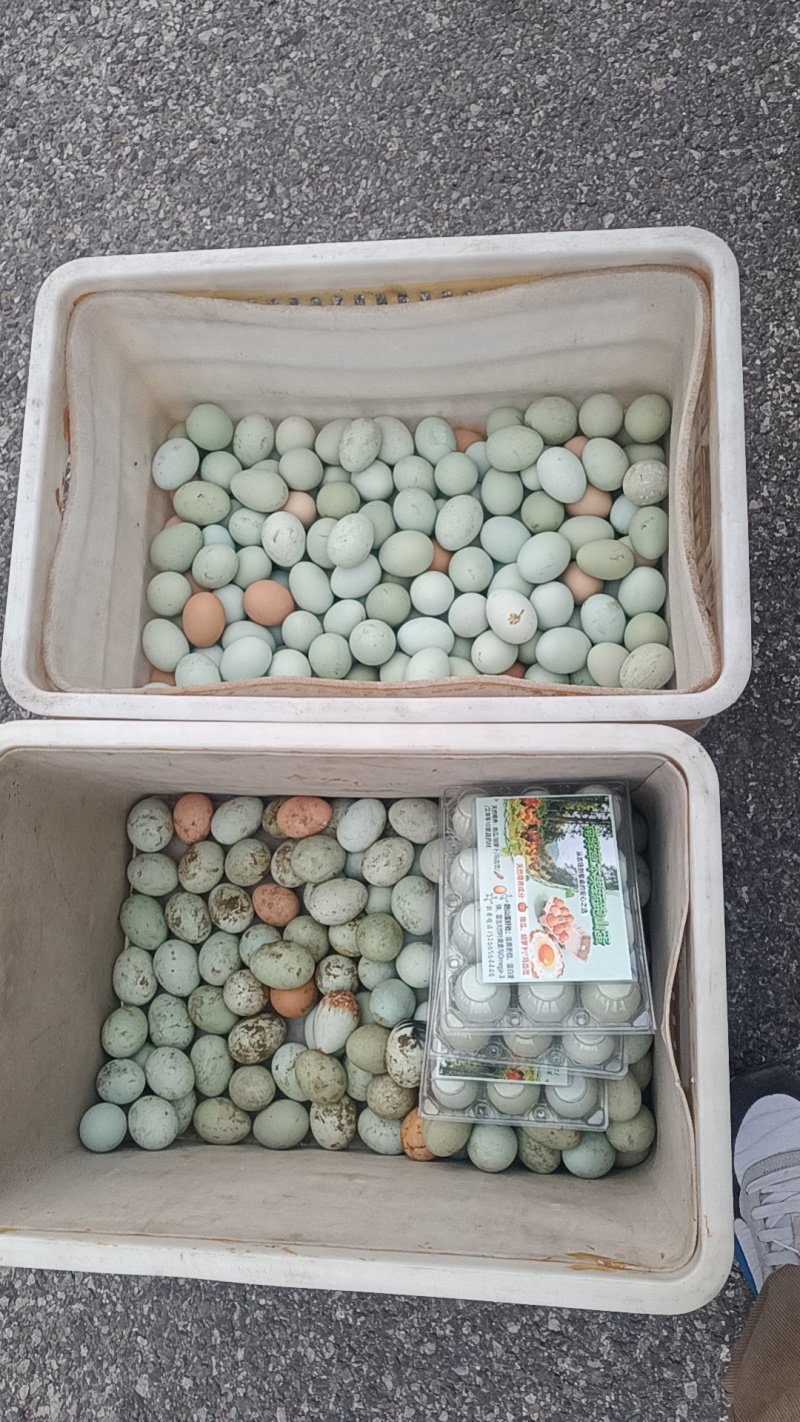 散养土鸡蛋
