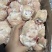 猪蹄圈30-40个，支持定做，厂家直供