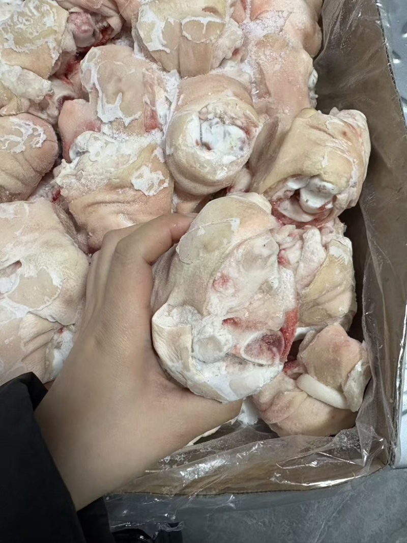 猪蹄圈30-40个，支持定做，厂家直供