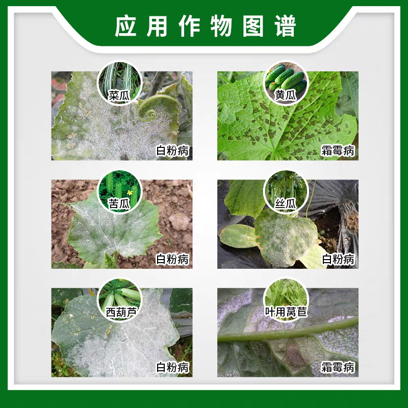 靓快25%吡唑醚菌脂吡唑醚嘧菌酯霜霉病早晚疫病白粉病杀菌
