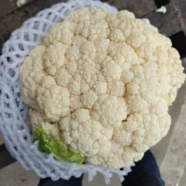 花菜