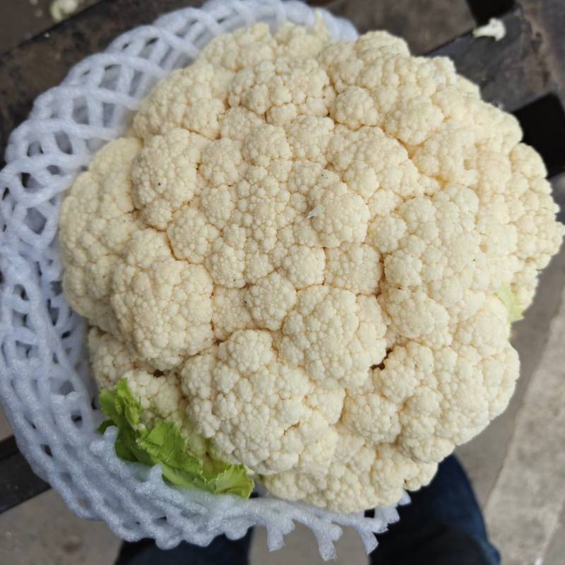 花菜