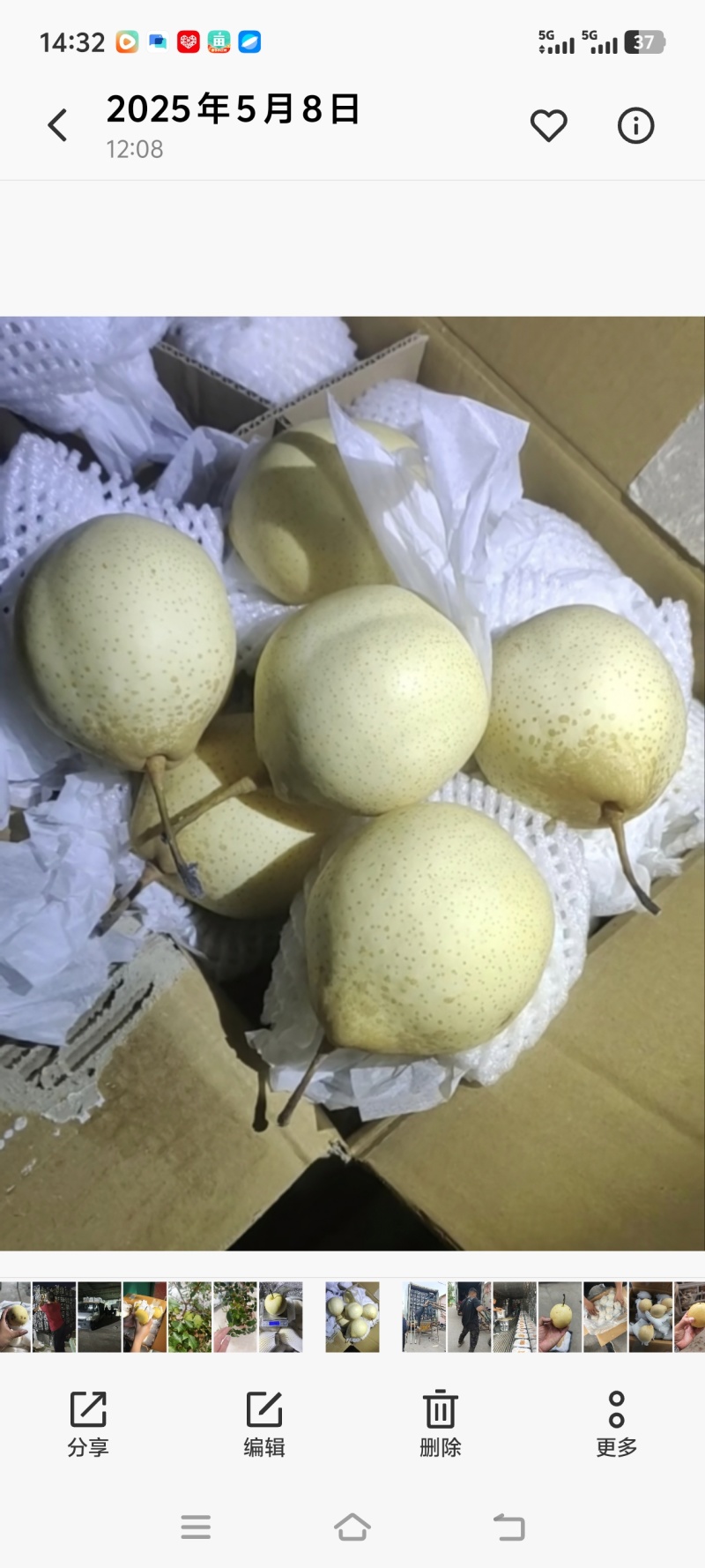 鸭梨，筐装，箱装各种型号，大量有货，质量保证，诚信第一位