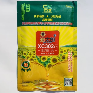 **矮大头油葵种子油太郎XC302榨油葵花籽高产高油观赏