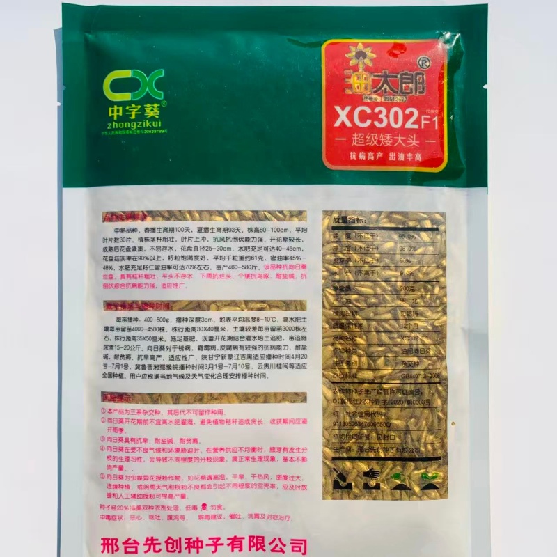 **矮大头油葵种子油太郎XC302榨油葵花籽高产高油观赏