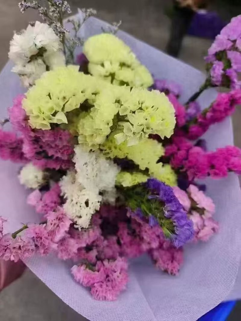 鲜花勿忘我鲜花云南鲜花云南十八怪产地直销