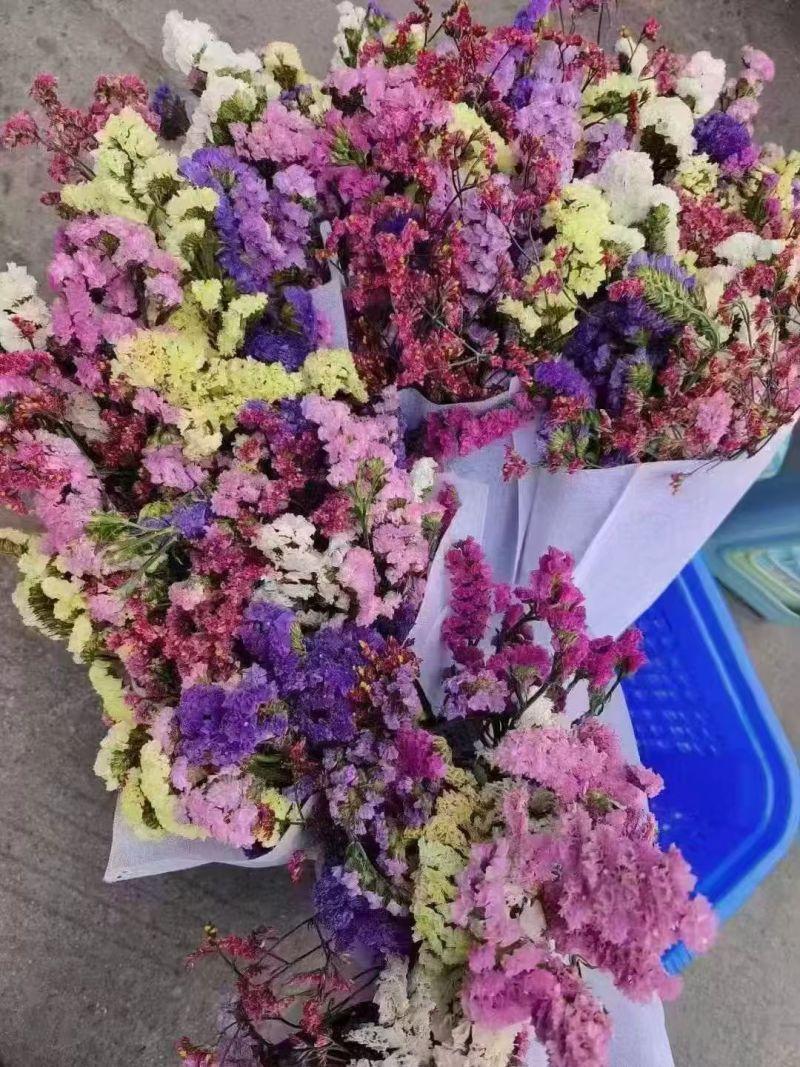 鲜花勿忘我鲜花云南鲜花云南十八怪产地直销