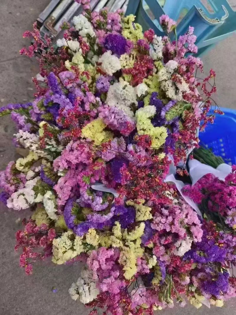 鲜花勿忘我鲜花云南鲜花云南十八怪产地直销