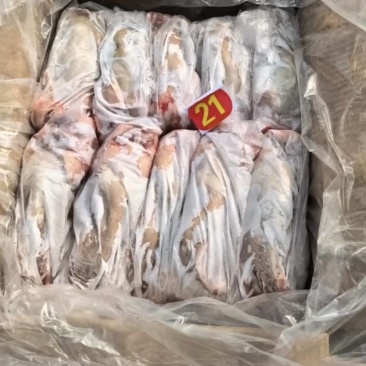 纯干口条