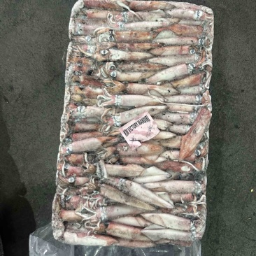 小管红管鱿鱼脆口鱿鱼围网6.5Q
