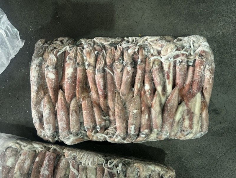 小管红管鱿鱼脆口鱿鱼围网6.5Q