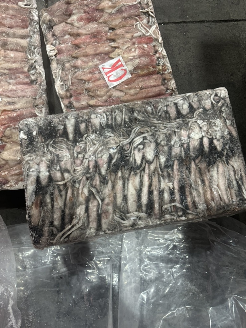 小管红管鱿鱼脆口鱿鱼围网6.5Q