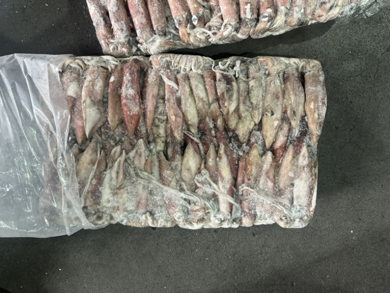 小管红管鱿鱼脆口鱿鱼围网6.5Q