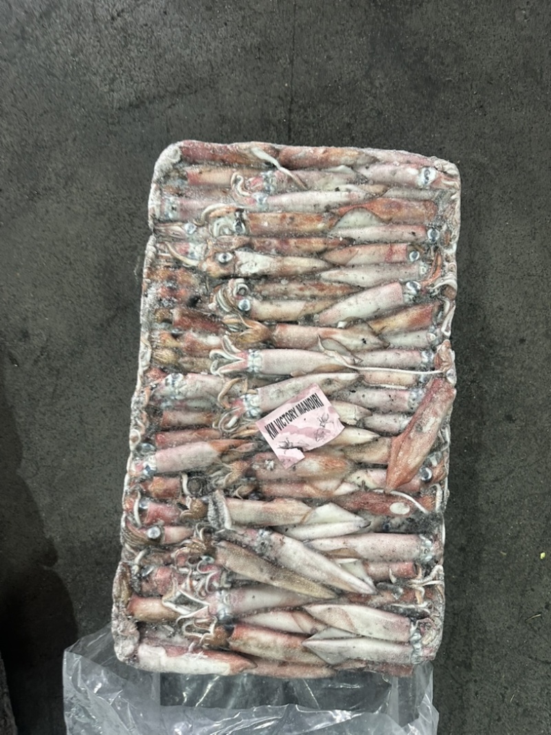 小管红管鱿鱼脆口鱿鱼围网6.5Q