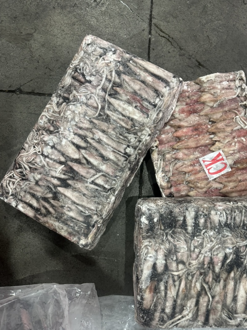 小管红管鱿鱼脆口鱿鱼围网6.5Q