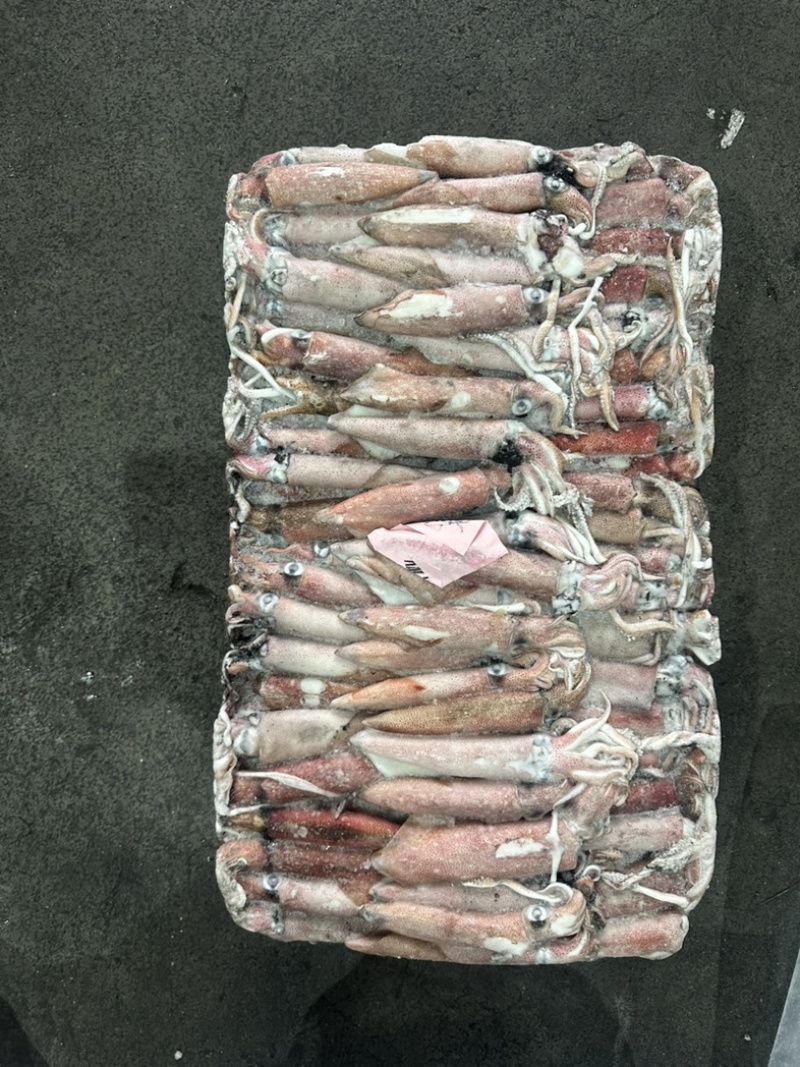 小管红管鱿鱼脆口鱿鱼围网6.5Q