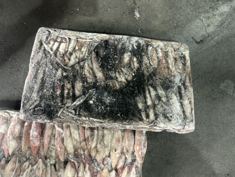 小管红管鱿鱼脆口鱿鱼围网6.5Q