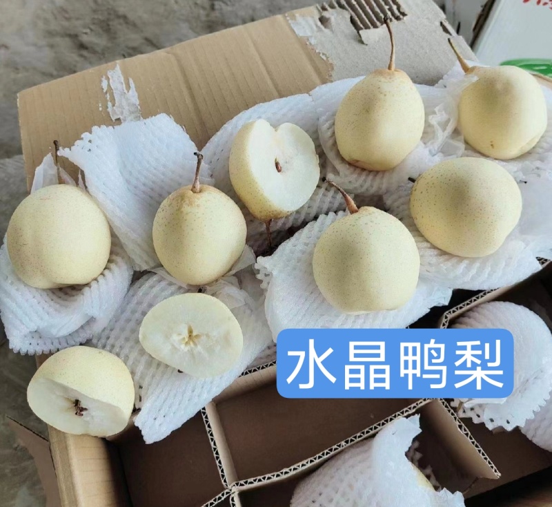 鸭梨，口感好，质量保证，高中低档都有，货源充足诚信第一位