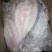 巴沙鱼全规格，5吨起批发