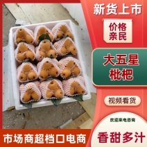 汉源五星枇杷，新鲜现摘，甜美爽口品质保证欢迎咨询合作共赢