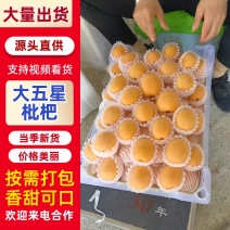 五星枇杷诚代办批发，订购，市场，电商，大量上市，现货供应