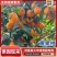 汉源县黄果柑，诚信代办批发酸甜可口，市场，电商，越南果，