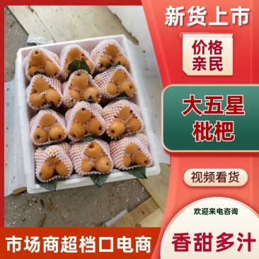 四川汉源大五星枇杷/基地直发/货源充足/欢迎选购