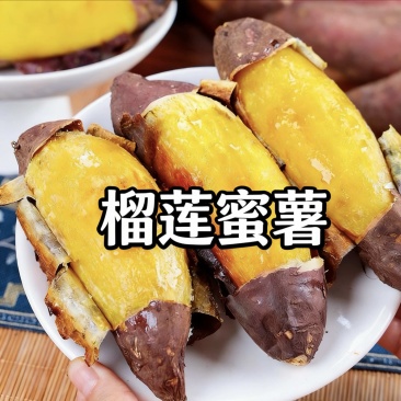 新鲜榴莲蜜薯高原黄心蜜薯软糯细腻丝滑玛莎莉批发代发