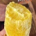 新鲜榴莲蜜薯高原黄心蜜薯软糯细腻丝滑玛莎莉批发代发