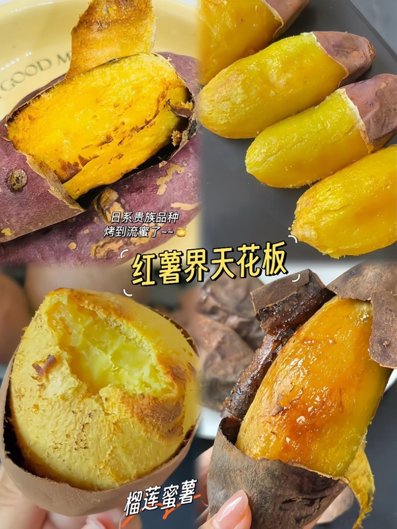 新鲜榴莲蜜薯高原黄心蜜薯软糯细腻丝滑玛莎莉批发代发