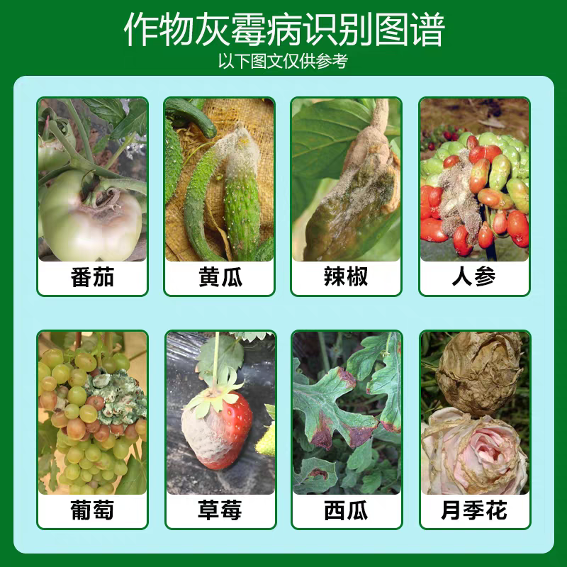 30%咯菌啶酰菌胺吡唑醚菌酯果树蔬菜白粉病草莓葡萄灰霉病